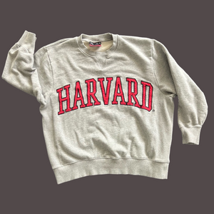 Zara Harvard University Sweatshirt